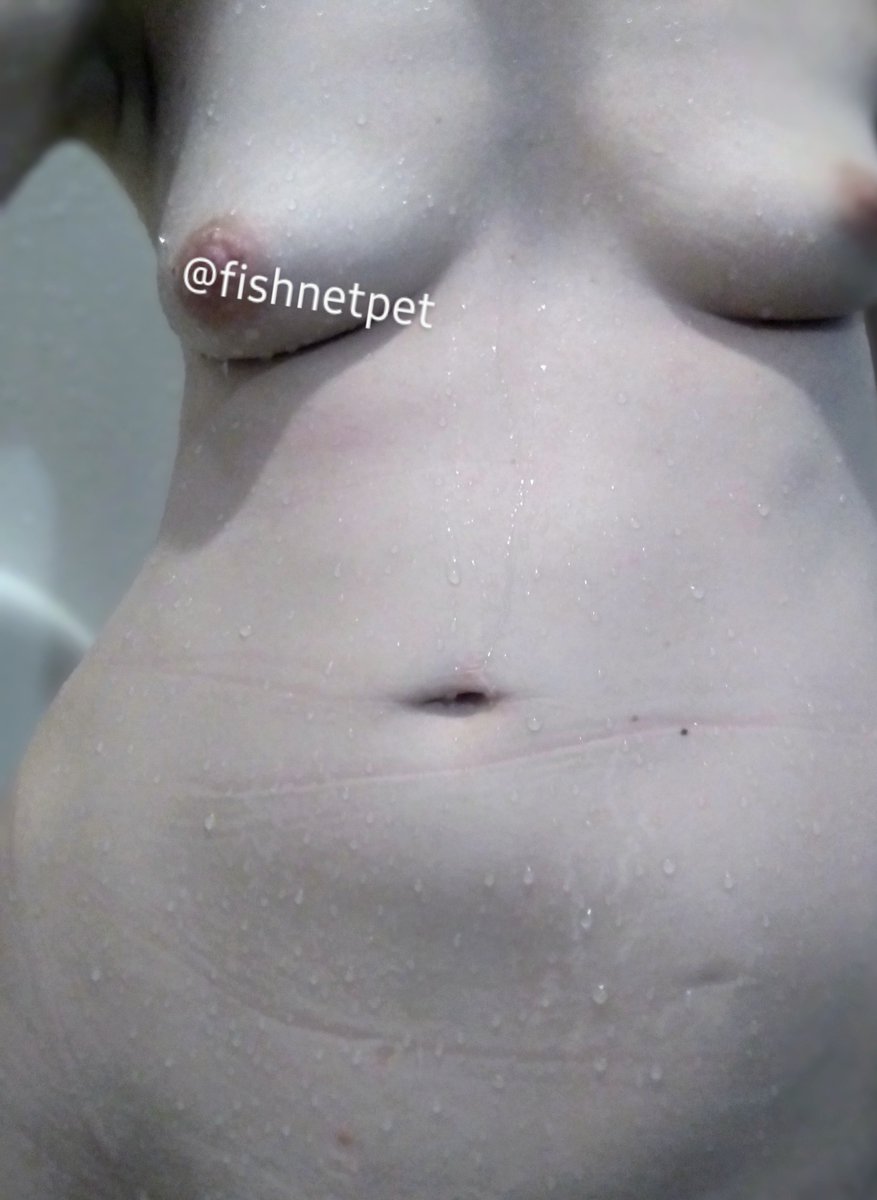 fishnetpet's tweet photo. @emeraldpromos @HannaZimmerr https://t.co/FxyK9opQA8