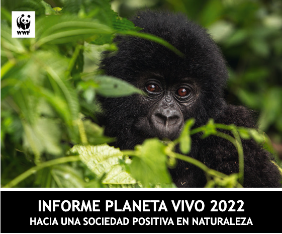 WWFespana's tweet photo. 🫂 Evento – #CONAMA 🫂
Mañana estaremos presentando el #InformePlanetaVivo #IPV2022 que hemos lanzado este año 📗
¿Te quieres venir? Para inscribirte tienes que pinchar en este link y poner este código: AE-12WWF5818
https://t.co/V6ng9mWDwF https://t.co/W7f6iB9ipX