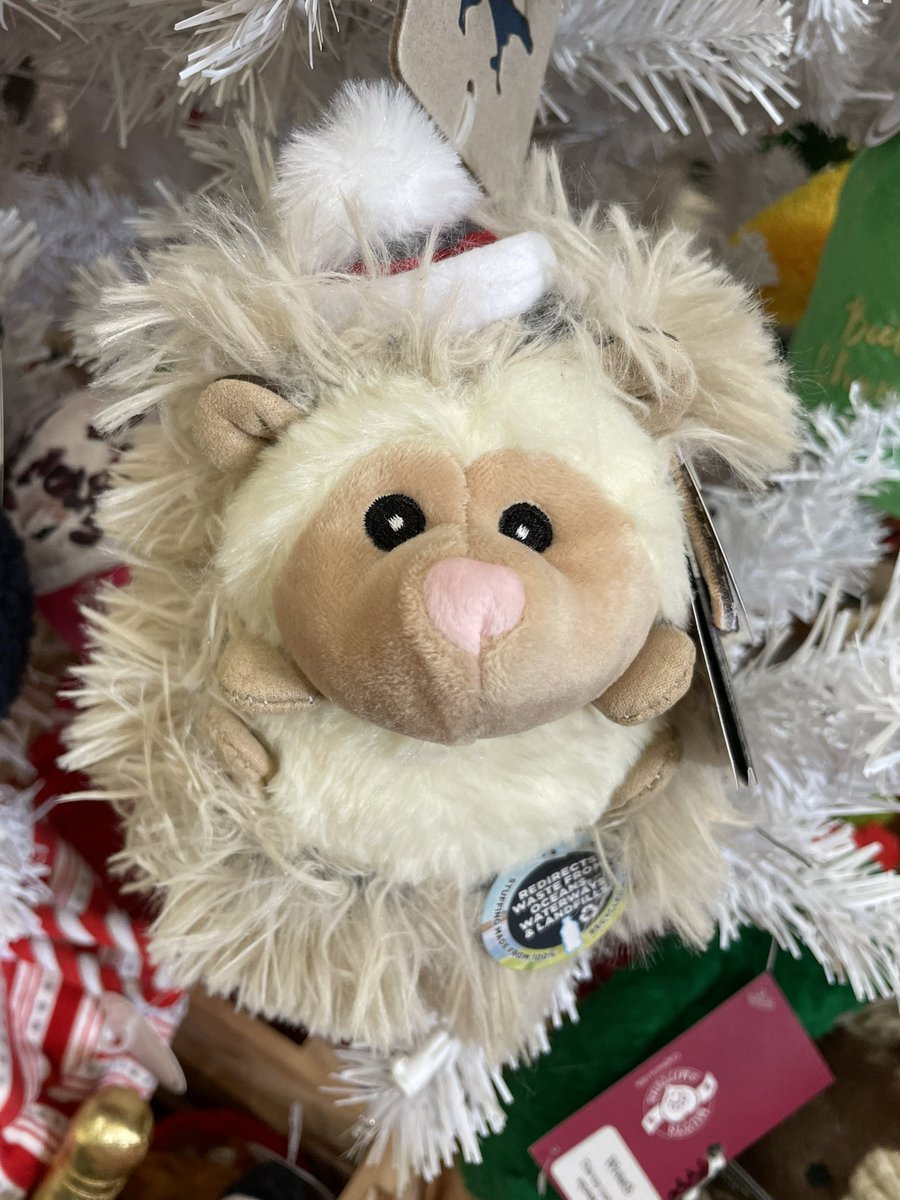 thedoggiebag's tweet image. The cutest little Christmas Hedgehog is waiting for his forever home. ❤️ 
He’s fluffy, soft, cuddly, squeaky, 
and will be your pup’s new favorite toy!❤️
Check out Hedgy and all his Holiday friends @doggiebagboutique

#dogmomsoflakeland #dogsoflakeland #shoplakeland #lakelandfl