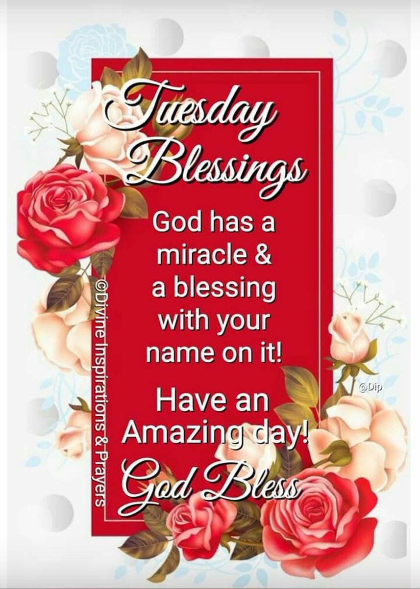 Tuesday wishes