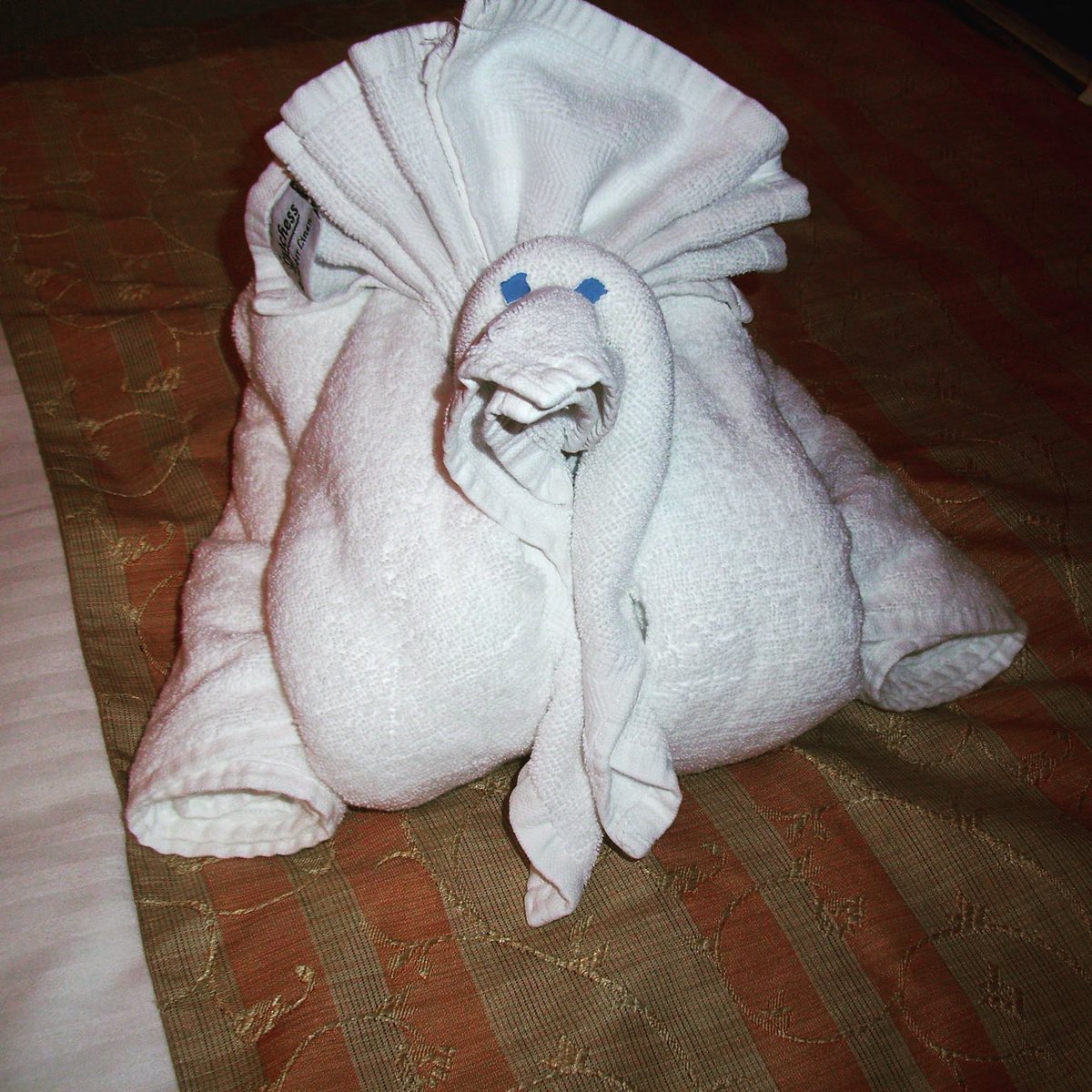 through_al's tweet photo. Happy #Thanksgiving! It’s TOWEL ANIMAL TUESDAY!#travel #cruising #cruise #Carnival #MardiGras #YouTube #toweltuesday #TowelAnimal #RoyalCaribbean #TowelAnimalTuesday #cruiseship #Caribbean #Towel #Norwegian #memories #Turkey #tradition #CruisingThroughLifewithAlandJeannie https://t.co/frc7hERezJ