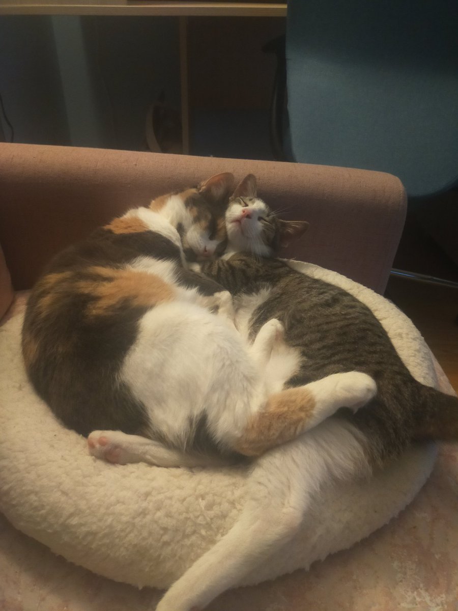 What if my last picture is naughty anyway? No coal? No coal for my babies?