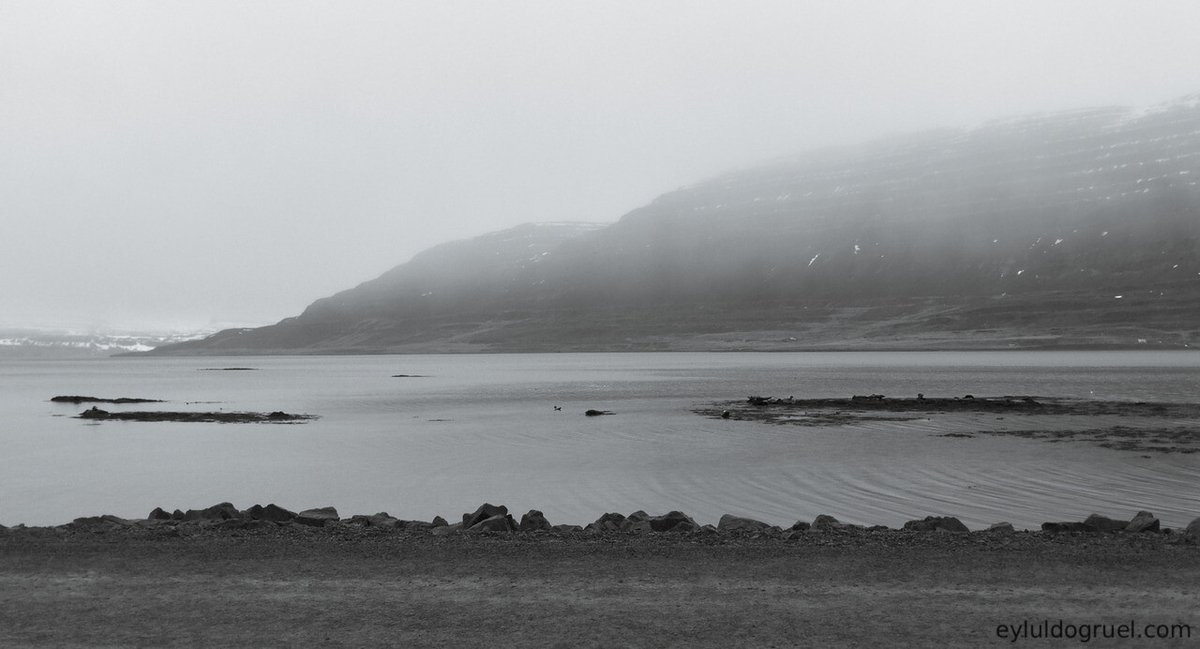there will be a lot of #oldPosts from this trip as this was one trip I came back home with something like 70GB of photographs. 

Part of it was because #Iceland is stunningly beautiful. Other part is because this was as an art residency (rather than a… social.eyluldogruel.com/@eylul/1093872…