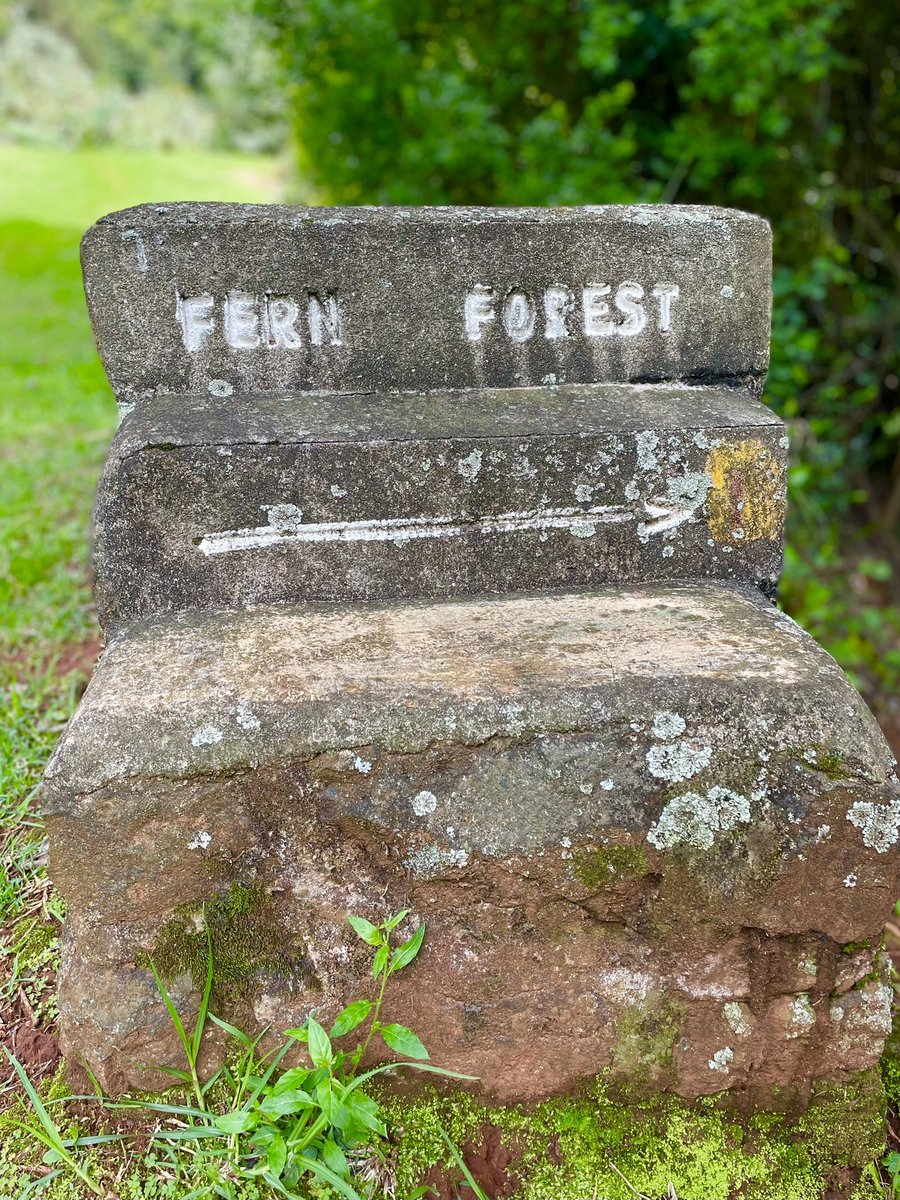 Exploring the sights and sounds of The Cavern's magnificent trekking and hiking trails has rewarded us with this beautiful waterfall. 

instagram.com/p/ClQjTuCK_ze/…

💦

#LaurasWorld
#Drakensberg 
#cavern1941