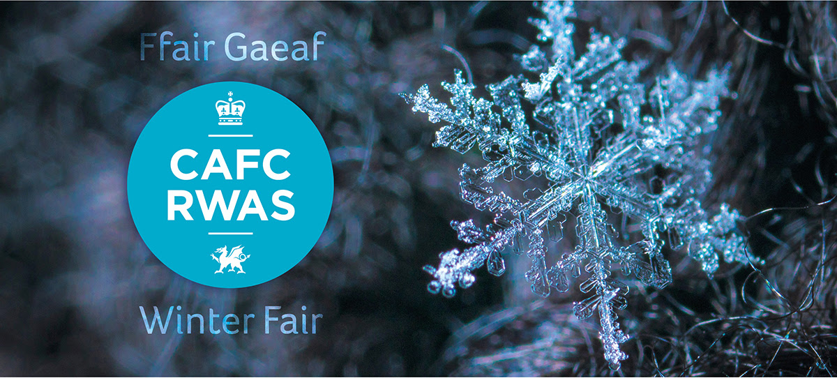 RWAS Winter Fair is taking place next Monday and Tuesday. Menter Moch Cymru and Wales YFC pig rearing competition will be taking place on Tuesday morning at 9:30am in the pig shed so come over to support them🐷🐷🐷