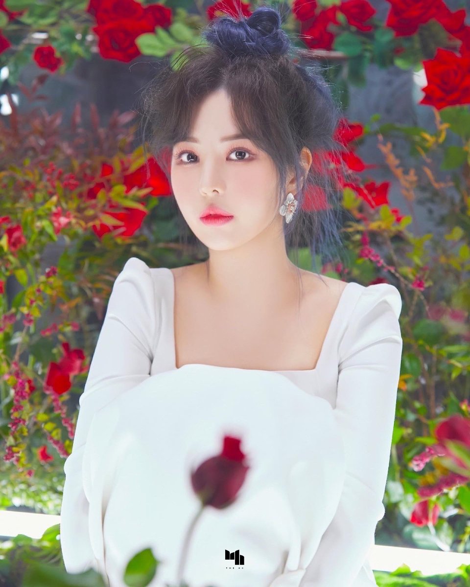 케이에이치컴퍼니 tweet media