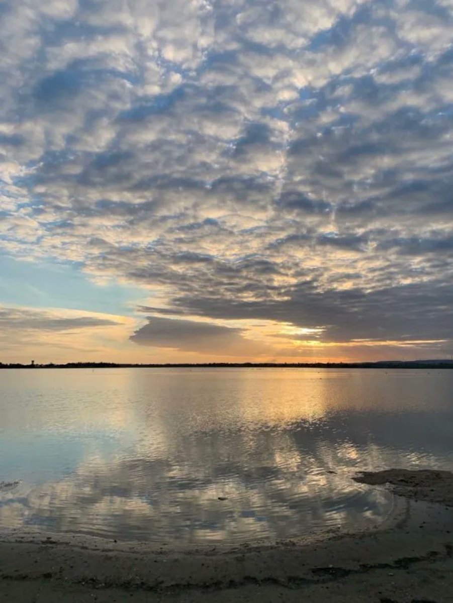 Golden skies, striking cover and a calm sea. 

Loving this shot of #Cyprus 😍

📸 <a href="/Cyprus4Holidays/">Holidays in Cyprus 🇨🇾</a>

#nofilter #sunset #goldenhour