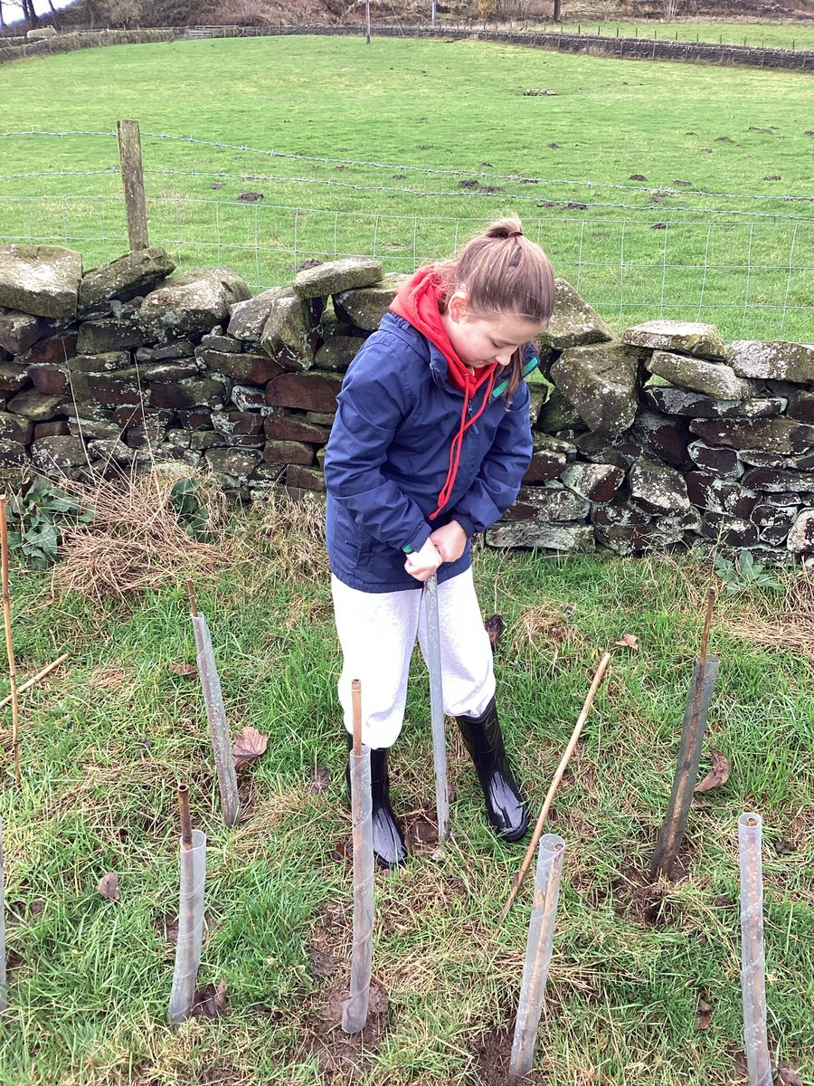 StJohnsRworth's tweet photo. 🌲 Year 6 tree planting 🌳 

A big thank you to @treesponsibility for helping our year 6 children plant 140 hawthorn trees this morning. 

#treesponsibility #treeplanting #improvingtheenvironment https://t.co/EF3BZthGa1