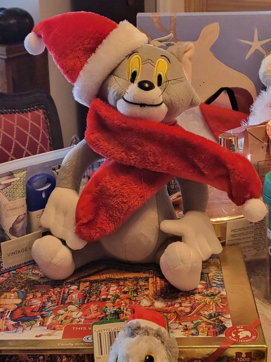 We are fundraising at the Christmas Market at Tees Cottage Pumping Station, Coniscliffe Road, #Darlington, this Saturday. We’ve got a raffle and adults’ and childrens’ tombolas with great prizes! Open 10am to 4pm. Details at facebook.com/events/s/tees-…  😺 #Caturday #christmas2022