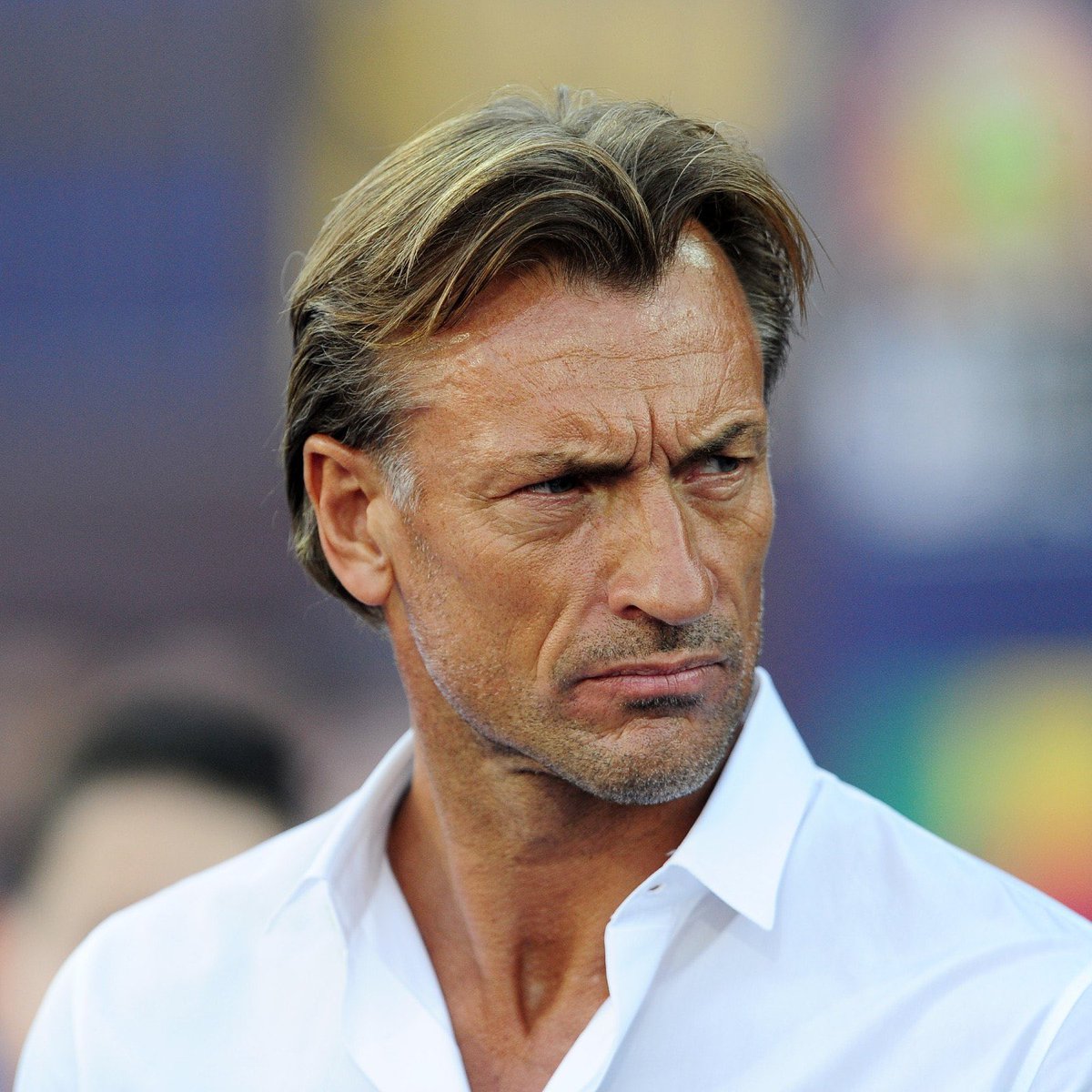 MaxBretosSports's tweet photo. Bow down to the brilliance of the ⚽️ Worlds Most Interesting Man.. Hervé Renard 🇸🇦. https://t.co/k0dSlH2SU7