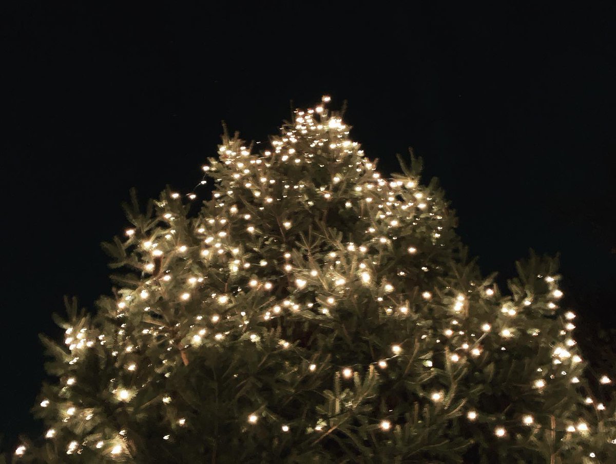 West Harlem Development Corporation tweet media