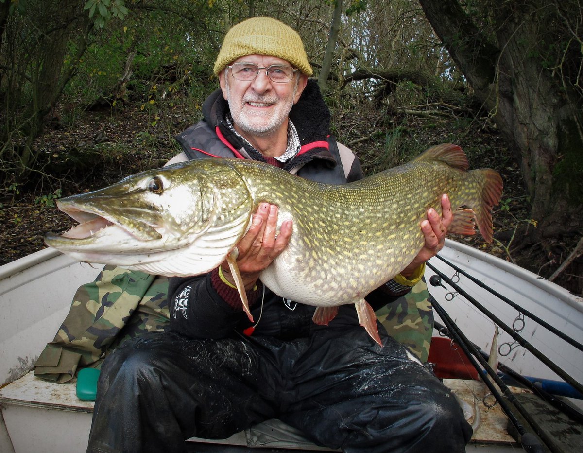 Matt Hayes tweet media