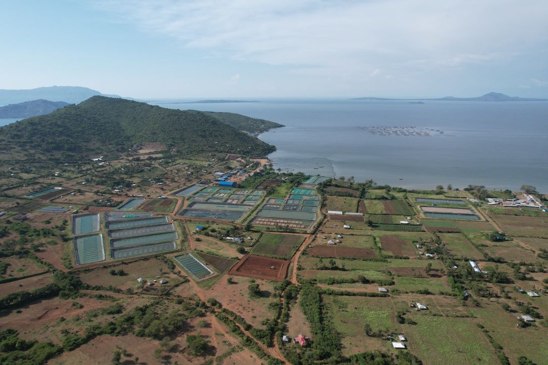 Looking for a job in aquaculture in Kenya or Rwanda? @VictoryFarmsLtd is looking for a capable and dynamic Production Manager to come in and immediately make an impact on the organization. #aquaculture #job - jobnetafrica.com/jobs/kenya/aqu…