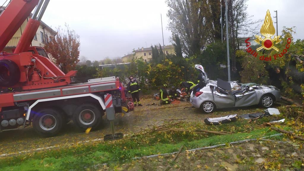 vvfveneto's tweet photo. #Monselice (PD) #22novembre, soccorso dai #vigilidelfuoco e affidato alle cure del personale @SUEM_Veneto un automobilista travolto da un albero, abbattutosi sul proprio mezzo. L’intervento stamattina intorno alle 10:30 della squadra di Este con il supporto dell’autogru di Padova https://t.co/YdT8bReYjI
