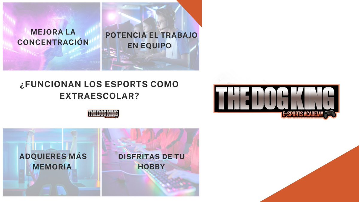 🤗 Ahora que ya llevamos un buen tiempo en época escolar, conviene recordaros que los #eSports pueden ser un gran complemento como actividad extraescolar.

👉 Te traemos 4 beneficios fundamentales.  

😎 ¡Os esperamos en la Academy!

🎮  thedogkingacademy.com