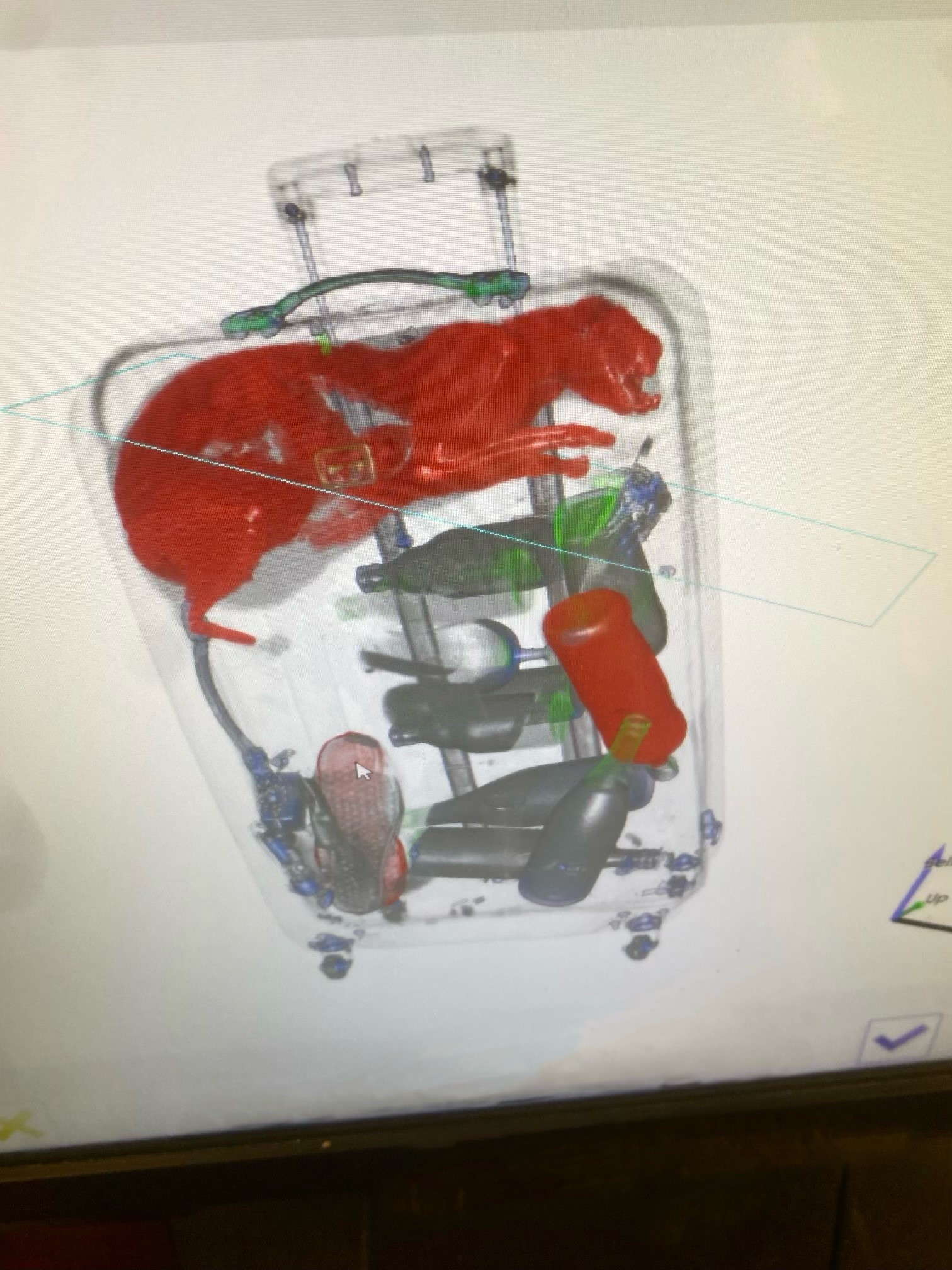 X-ray image of cat in a traveler's checked luggage
