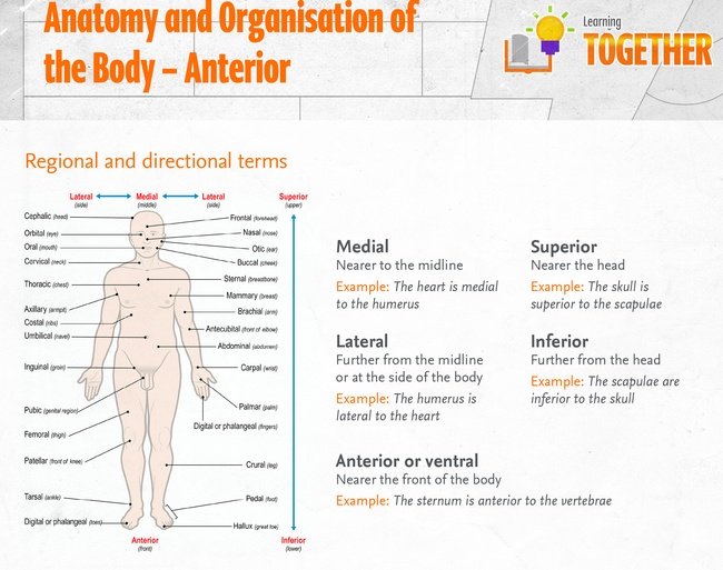 Tutor_Chem_Bio's tweet image. Get 24/7 help with genetics, organic chem, anatomy, Aleks, cengage, Pearson, owl,McGraw Hill, Canvas, Blackboard, edgenuity, Hawk and Mastering Chemistry.
#homework_help
#chem_help
#organic_chemistry
#essayhelp
#Ochem
#orgochem
#canvas
#gsu24
#NCAT
#FAMU
#UMES
#SSU
#FSU
#BU