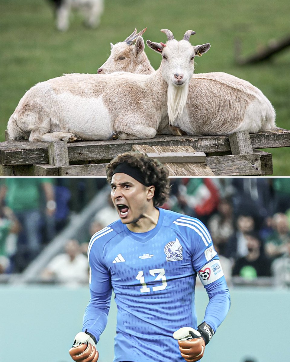 MEMO OCHOA IN THE WORLD CUP 🐐