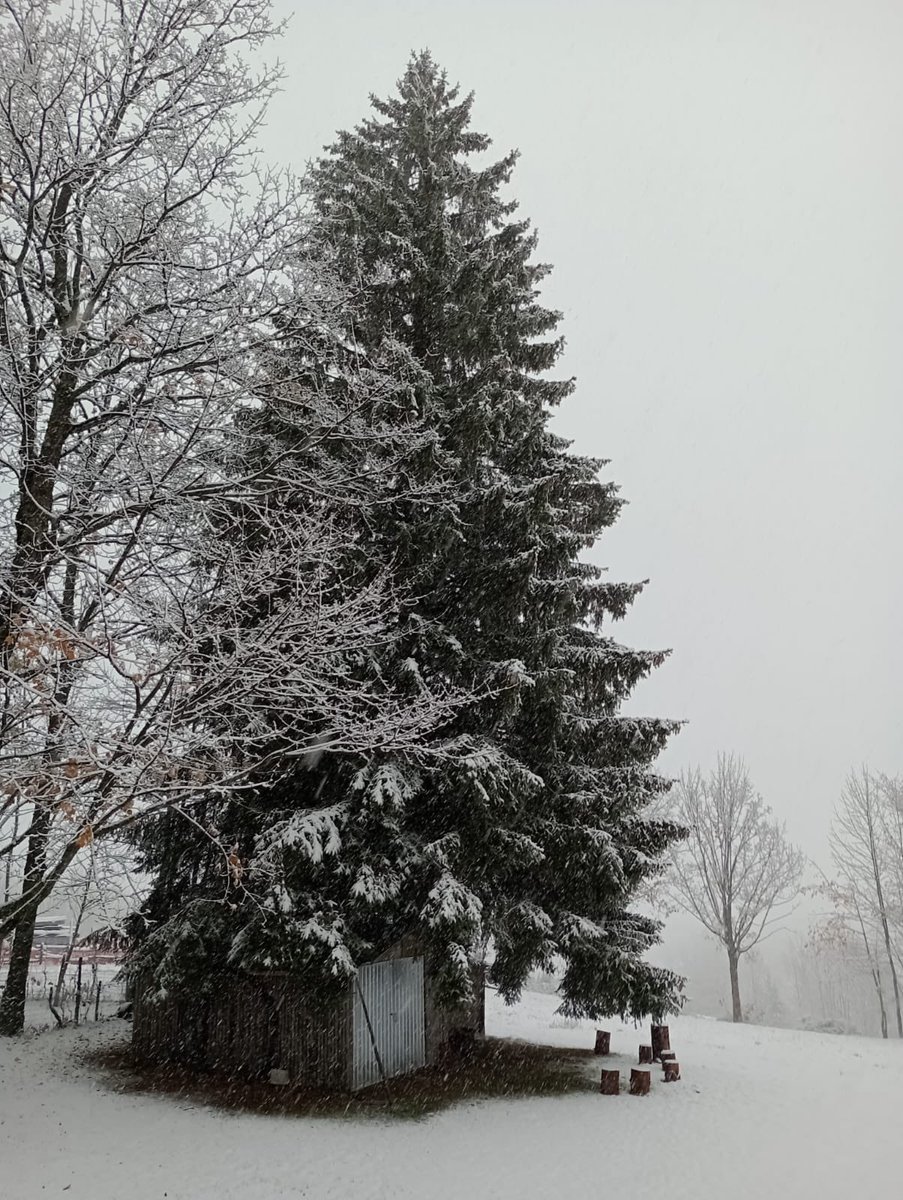 cadibicci's tweet photo. La prima #neve è arrivata anche a @cadibicci #fiumalbo .
@ModenaDintorni @ModenaToday @AppenninoBianco @parcoappennino @provinciamodena @FrignanoNews @appenninonews @pievepelagoinfo https://t.co/Y6luiKhXLn