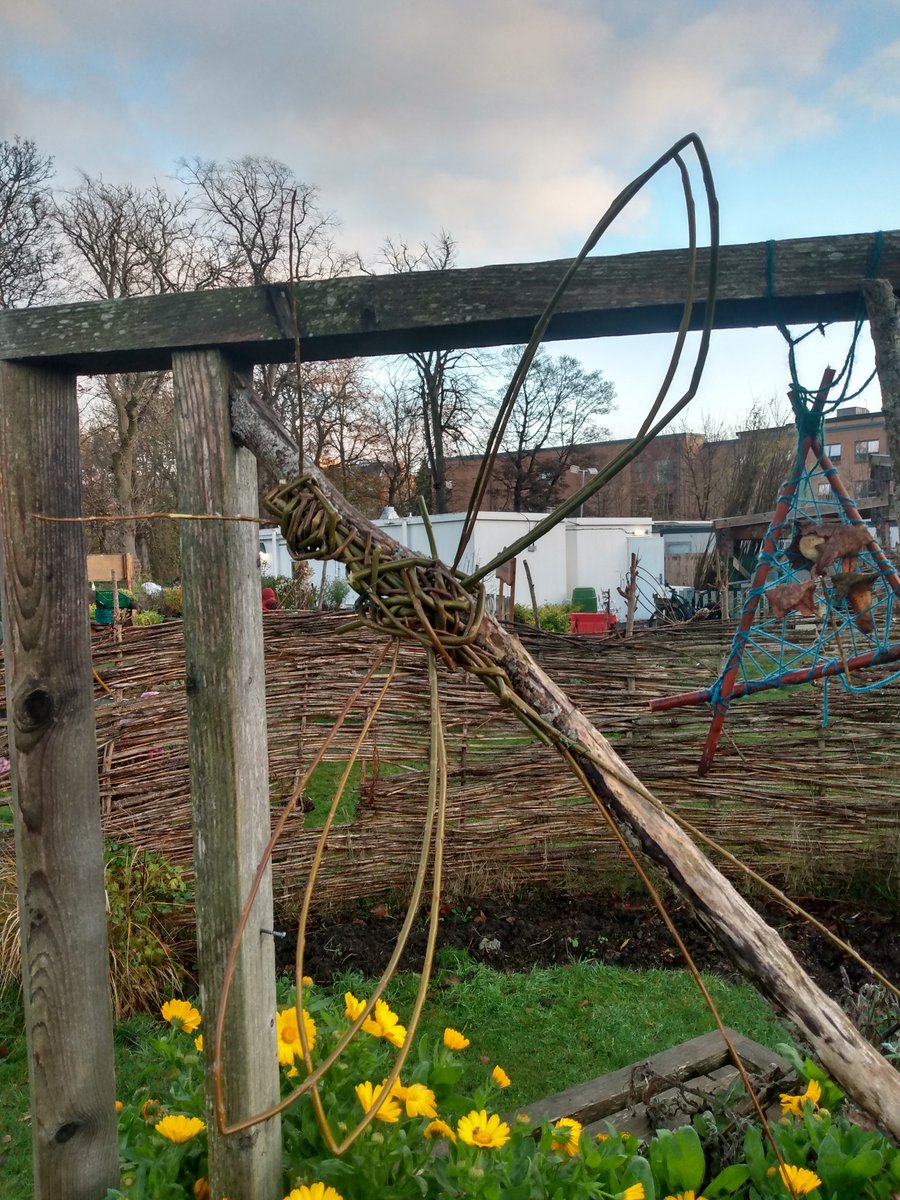 Lovely #Autumn day #community #garden @Cyrenians1968 making willow dragonfly, willow wreath bases. #volunteering #volunteer #gardening #getoutside #outdoorfun #outdoors #MentalHealthMatters positive #mentalhealth #MentalHealthAwareness
