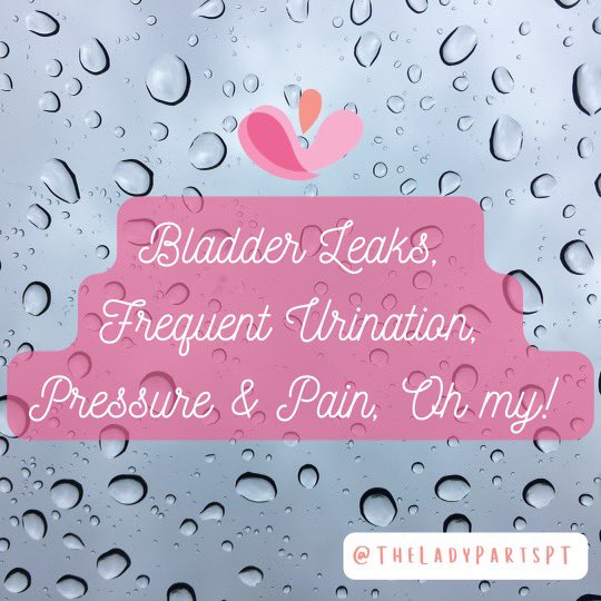 1 in 3 women experience bladder leaks so I'm teaming w/ @Poise to talk re: #bladderhealth. If you're dealing w/ bladder leaks, frequent urination (>8x/day or >1x/night), pressure or pain while urinating talk to your PFPT. Check out Poise Ultra Thin Pads w/ Wings Link in bio #ad