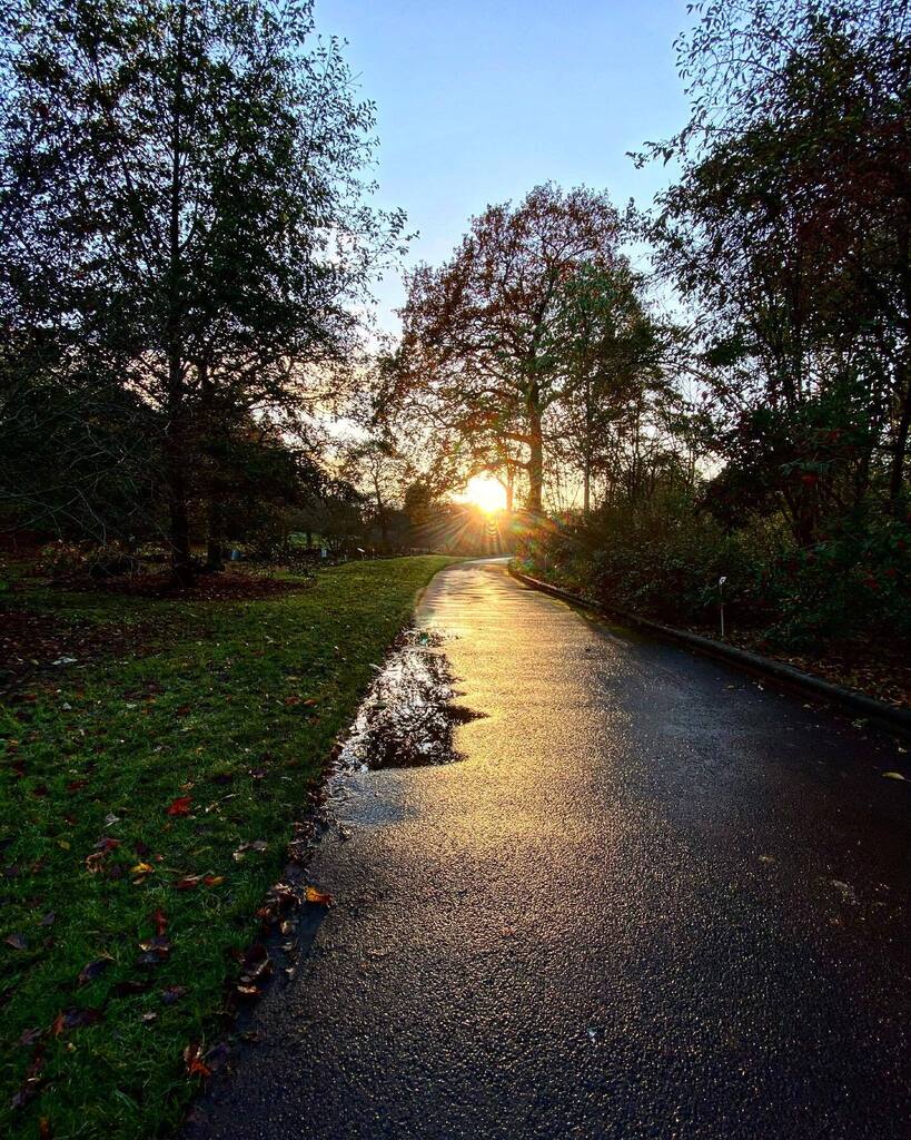 jellycat72's tweet photo. Sunbeams round the @rbgedinburgh this afternoon. #botanics #sunbeams #lowwintersun #edinburgh https://t.co/2DGKAFAqc8 https://t.co/ujNhzYpAo0