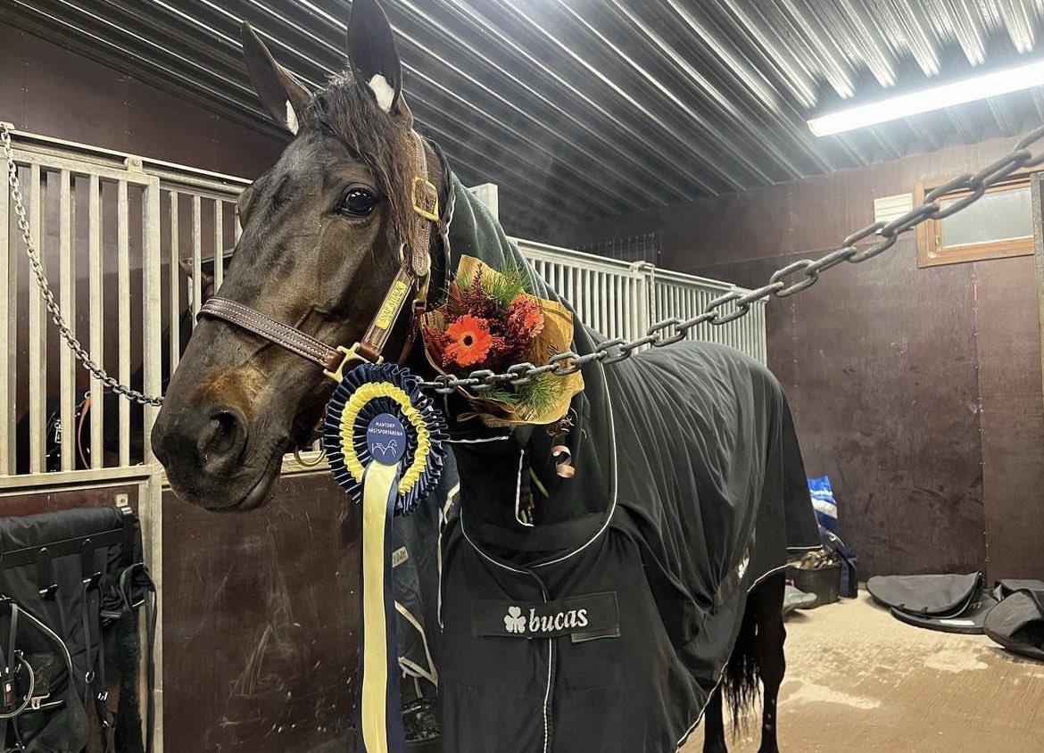 SyversenMona's tweet photo. ✨SNAP ATTACK✨
Vinner lett på Mantorp i går i snøføyka på 18,3 - 2140v💪🥇🏆 Kun 2 år🥰Flott styring av @ErlendSmygen. Gratulerer @kimpedersen2412 og oppasser Line Andersen. Dere er gode❤️
#stalldickensdrammen
#2yo #snapsttack #andelslag #llv75 #hesterbest #gleder https://t.co/YgIVvfOheM
