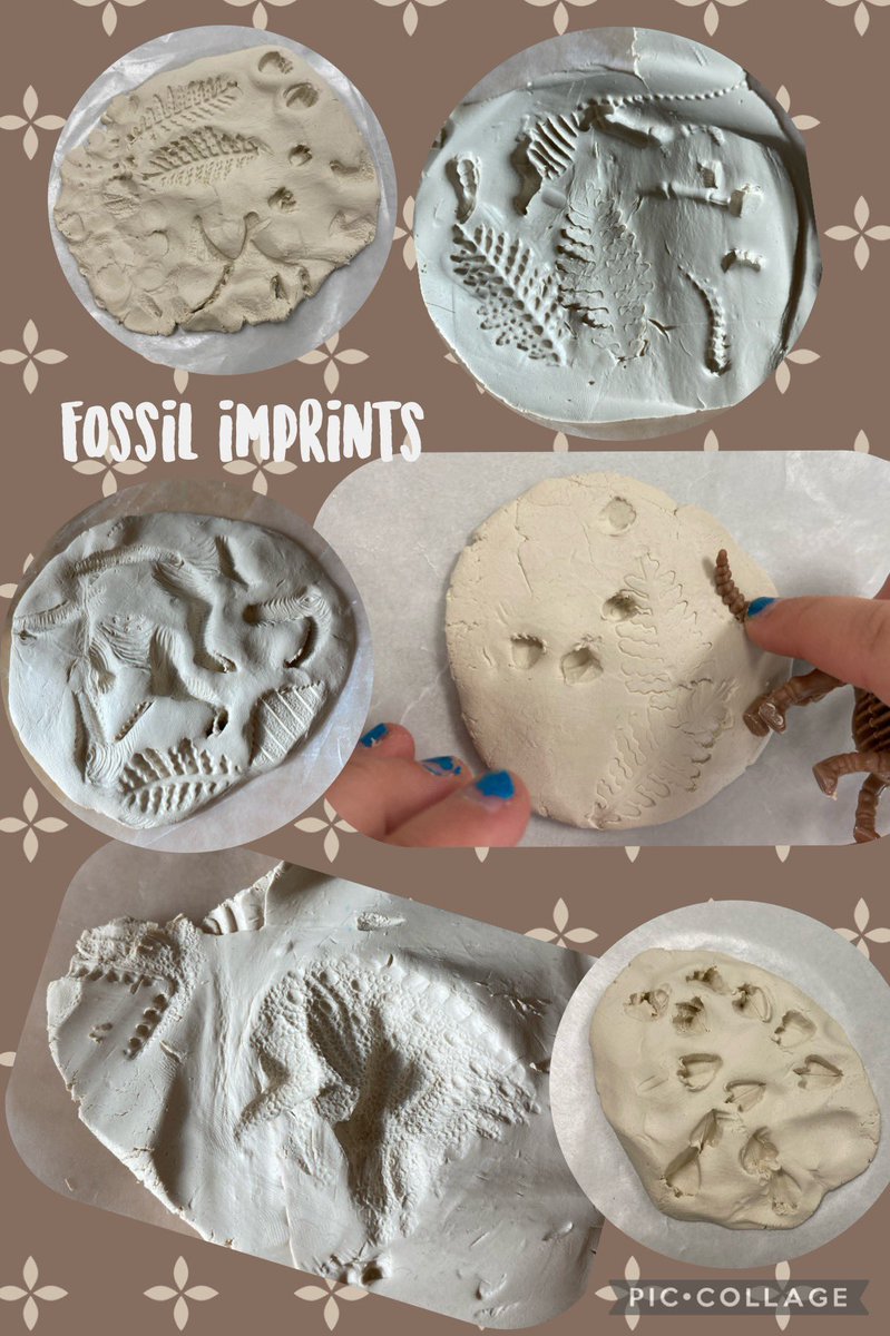 MrsM_Ward's tweet photo. #WardsHappyCampers enjoyed day 2 of Dino Days @OakviewElem #FossilImprints #FossilDigs These young paleontologists used #collabration to help @DavidJGaudet  @MSutton1027 with their digs 🦕 🦖 @ELeducation https://t.co/ImQf55g45k