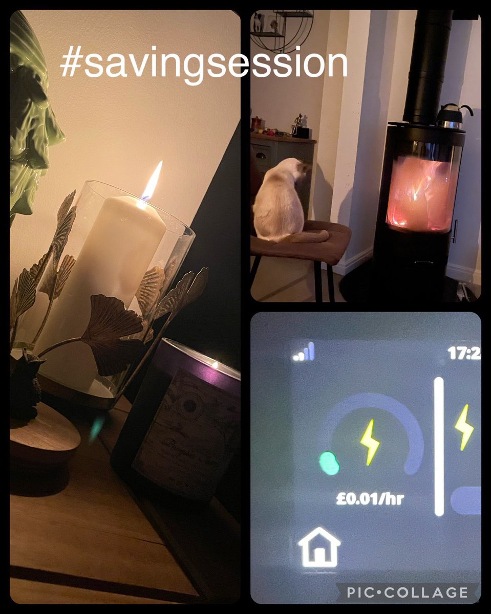 Octopus 🐙 saving session in progress, candle light, fire light and silence 🤫 #savingsessions