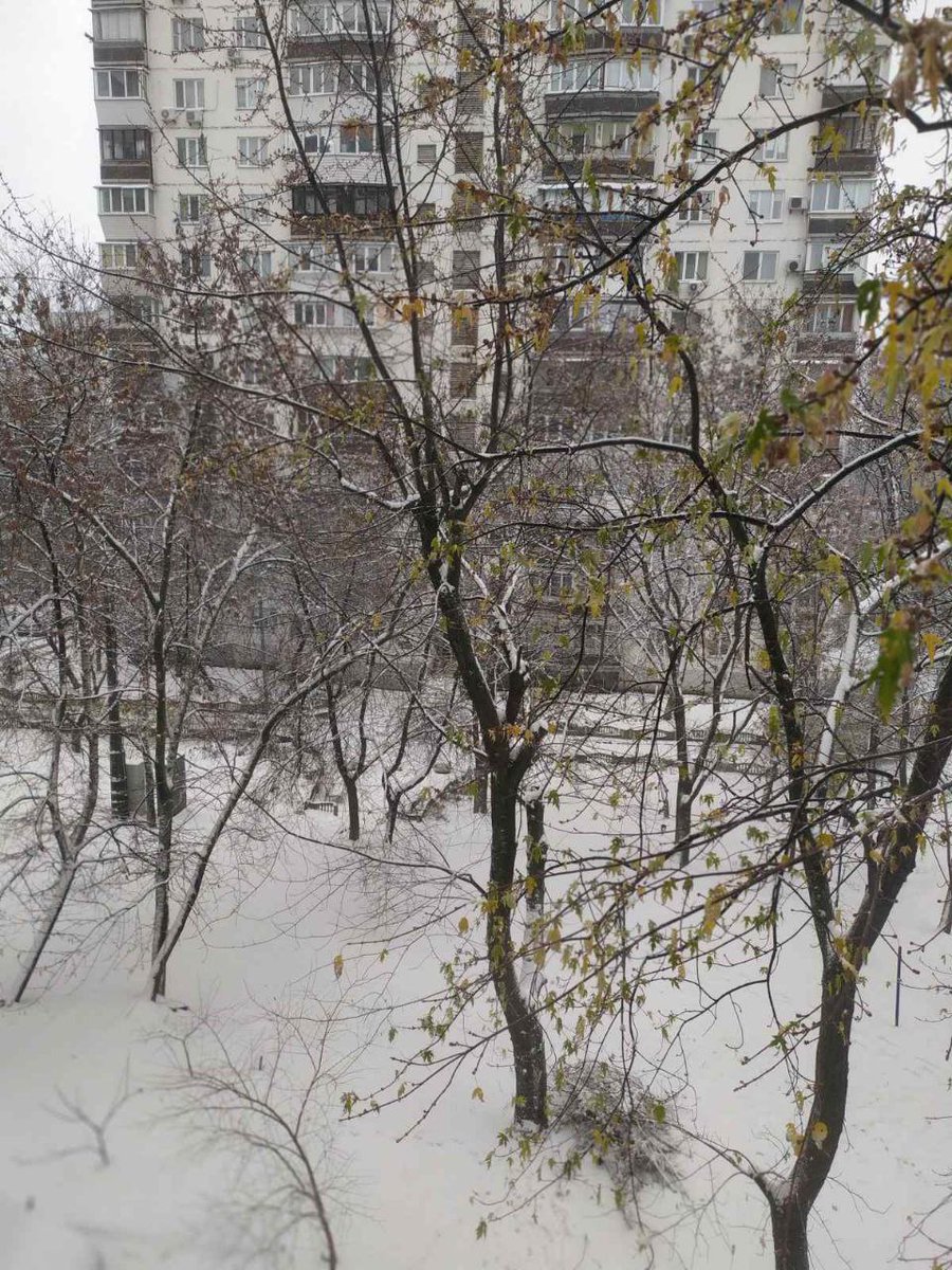 AnnaSwe21's tweet photo. Good day to everyone. Winter is coming) https://t.co/iuBYN2uwPu