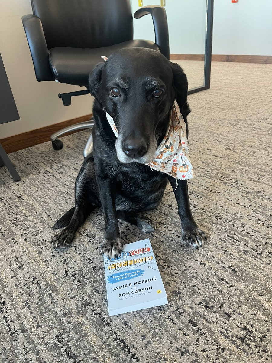 CCONellyCarson's tweet photo. My dad has a new book! I’ve contemplated what freedom means to me, and it’s living each day of my 12th year here to the fullest. Chasing tennis balls, squirrels, people with food, and getting belly rubs. 

Get your copy today! Some lady forced me to take a photo with mine. https://t.co/B6BrfLQZra