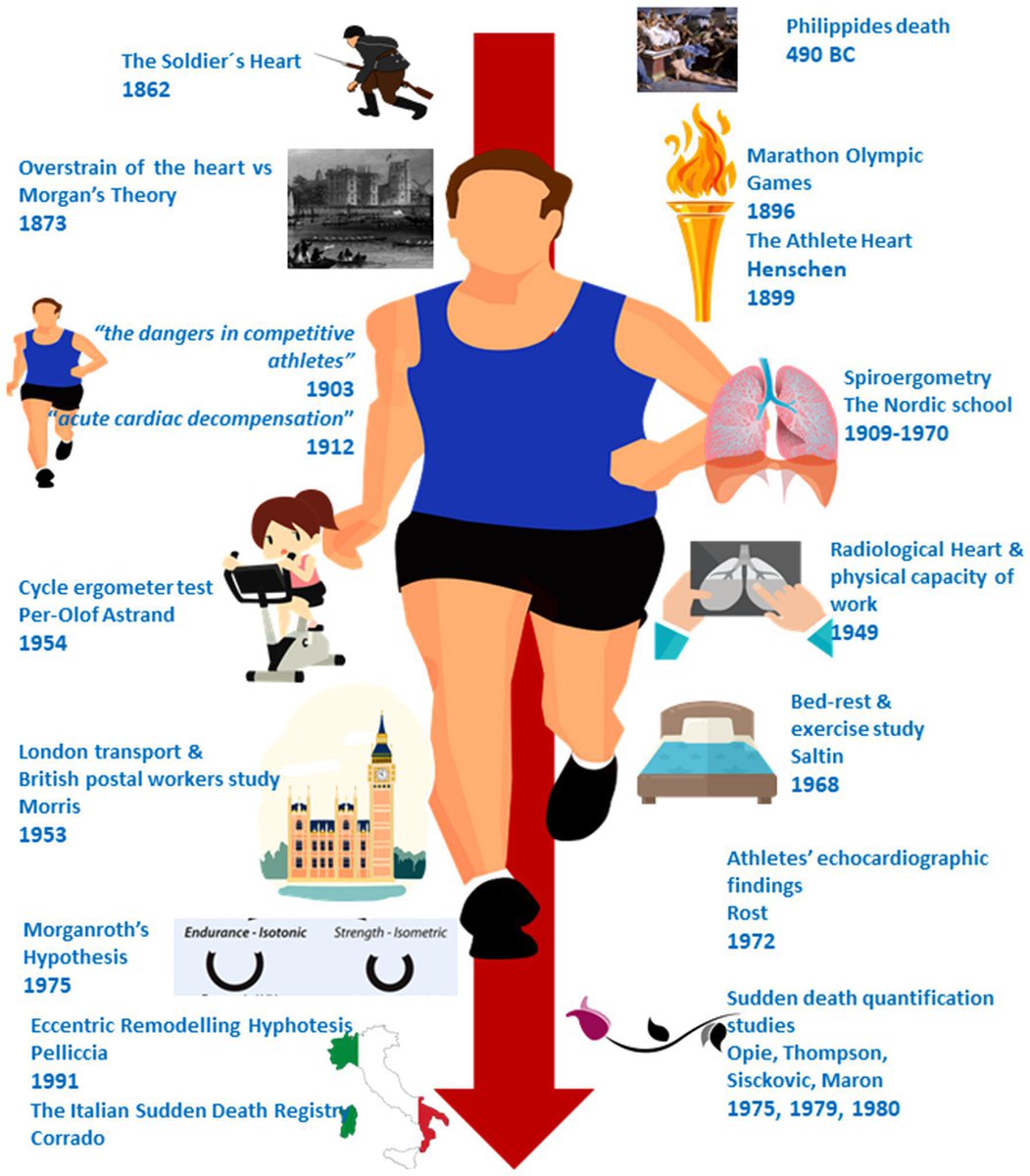 The athlete’s heart from #Philippides to the modern #marathon runners | European Heart Journal
doi.org/10.1093/eurhea…
<a href="/Medtronic/">Medtronic</a> #cardiologia #MedTwitter #physiotherapy <a href="/wsl/">World Surf League</a> #SportsMedicine <a href="/TheAMSSM/">AMSSM</a> #Cardiology #SportsMed #CardioTwitter