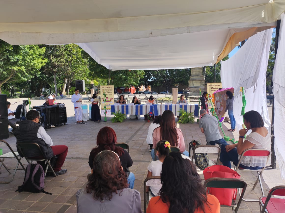 consorciooaxaca's tweet image. 🟣Da inicio  el evento  en torno  al 33° Aniversario de la Convención sobre los Derechos de la Niñez que busca promover el derecho a la participacion de niñas, niños y adolescentes.

@CCalpulli
@ManoVuelta_AC
@surcooaxaca @EspiralAC @laminuta @elpoderdelc

#ConsorcioOaxaca