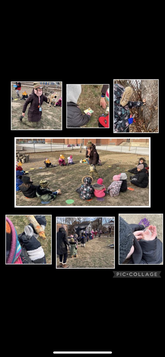 Our <a href="/TrafalgarPS/">Trafalgar PS</a> Kindies had the best time using our senses to explore our green space and learn about different animals in our environment. Thank you Ms. Shannon from <a href="/LdnEEC/">London EnvEd Centre</a> for being so engaging. #trafalgarproud #outdooreducation