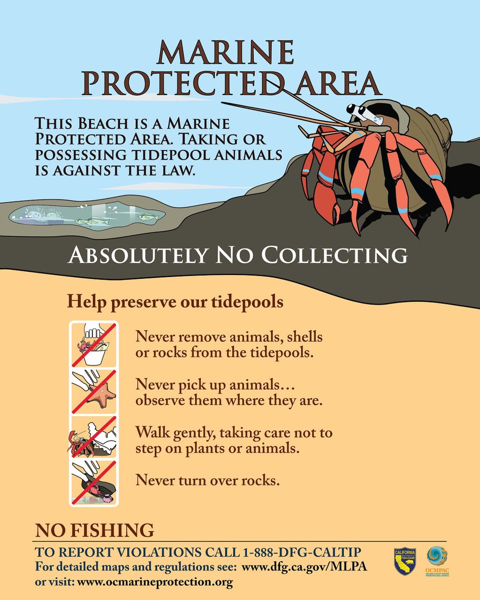 Laguna Beach is thankful for all of our dedicated marine safety lifeguards and first responders that keep not only humans but our marine life safe.

Help out our Marine Protected Areas – To report a Marine Protection violation, call Marine Safety Dispatch at 949-497-0310.