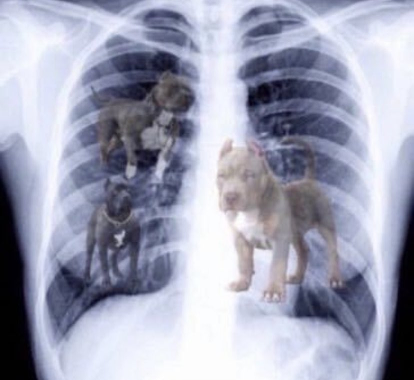 As a player: You gotta have that dog in you!