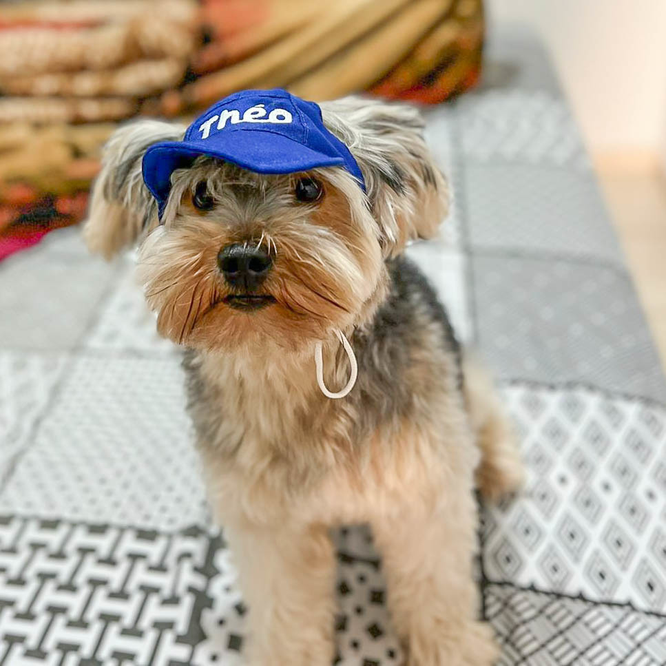 petelegante's tweet photo. Nosso Querido cliente Theo passando para mostrar seu novo Boné Personalizado😍
Você ficou Lindo, Theo! 💖
-
Essa Peça e muita mais disponível em nosso Site:
https://t.co/2GZxKx6hzU
-
#petelegante #petlove #petshop #petshoponline #dog #instapet #fofura #amomeupet #filhode4patas https://t.co/hS6LFSYoIR