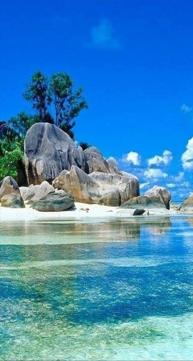 Gencay (@gencay3234) on Twitter photo 