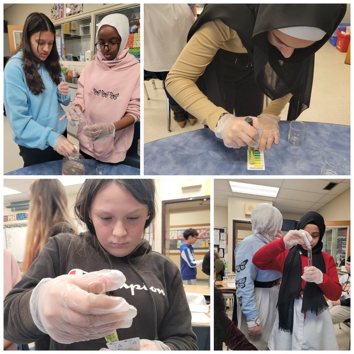 janet_bosnjak's tweet photo. Gr8B investigating Water sources (Lake Erie, Hillman Marsh, Detroit River and Tap Water) for ammonia, phosphate, pH, nitrate and nitrite levels. Hands on experiments! #ibscience #inquiry #handsonscience #scienceisthebest @teach_terri @GlenwoodGriffin @gecdsbpro https://t.co/TZg3Ei8BP8