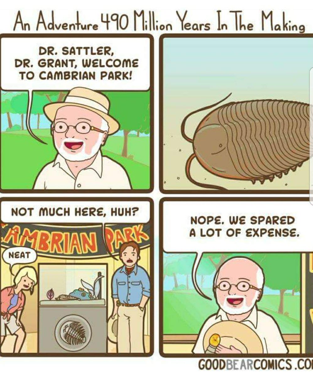 paleokeely's tweet image. 