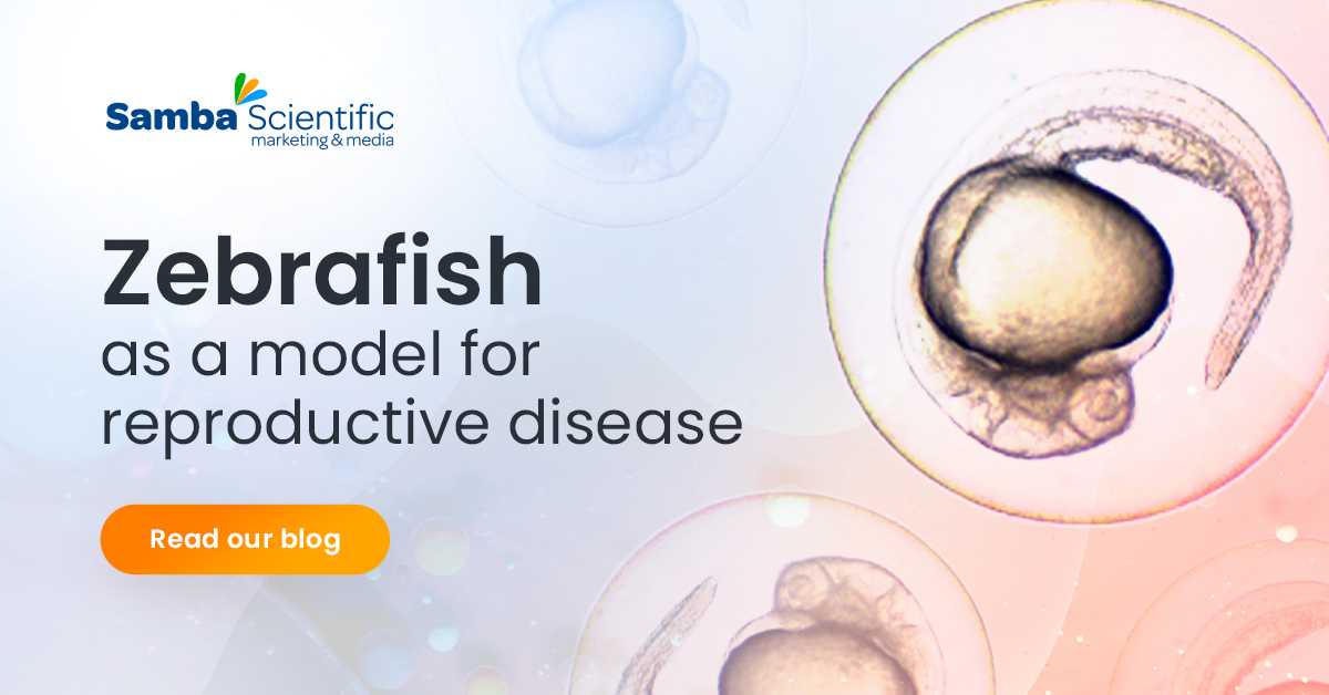 sambasci's tweet image. We have more in common with fish than you’d think! 

Read our new blog about how zebrafish can be used to model human cellular processes: hubs.li/Q01qpBC80

#zebrafish #modelorganism #developmentalbio