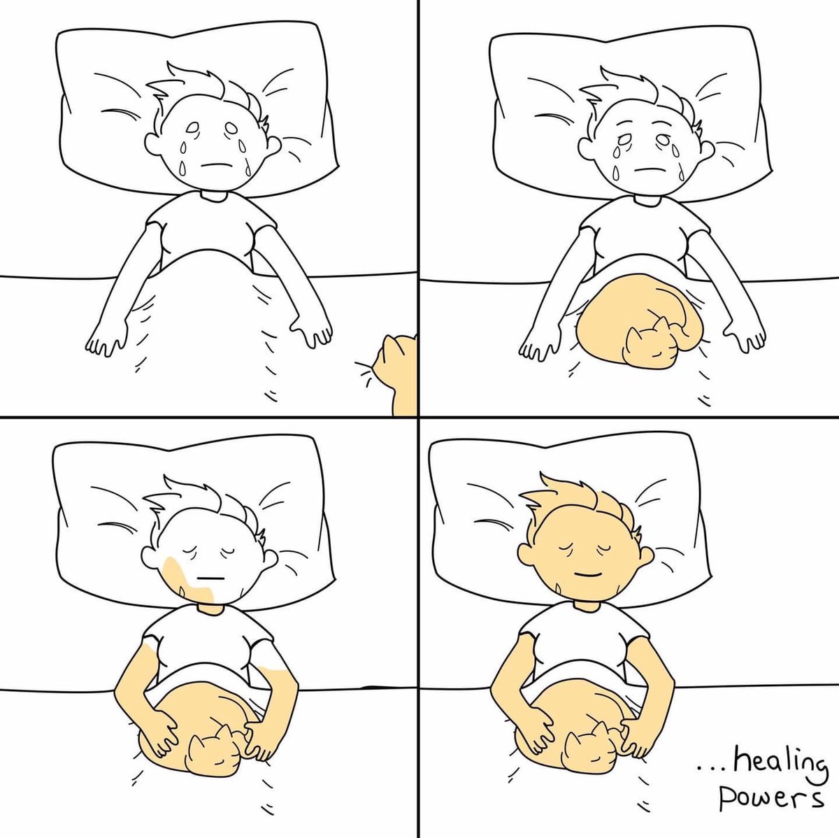 The power of pets!