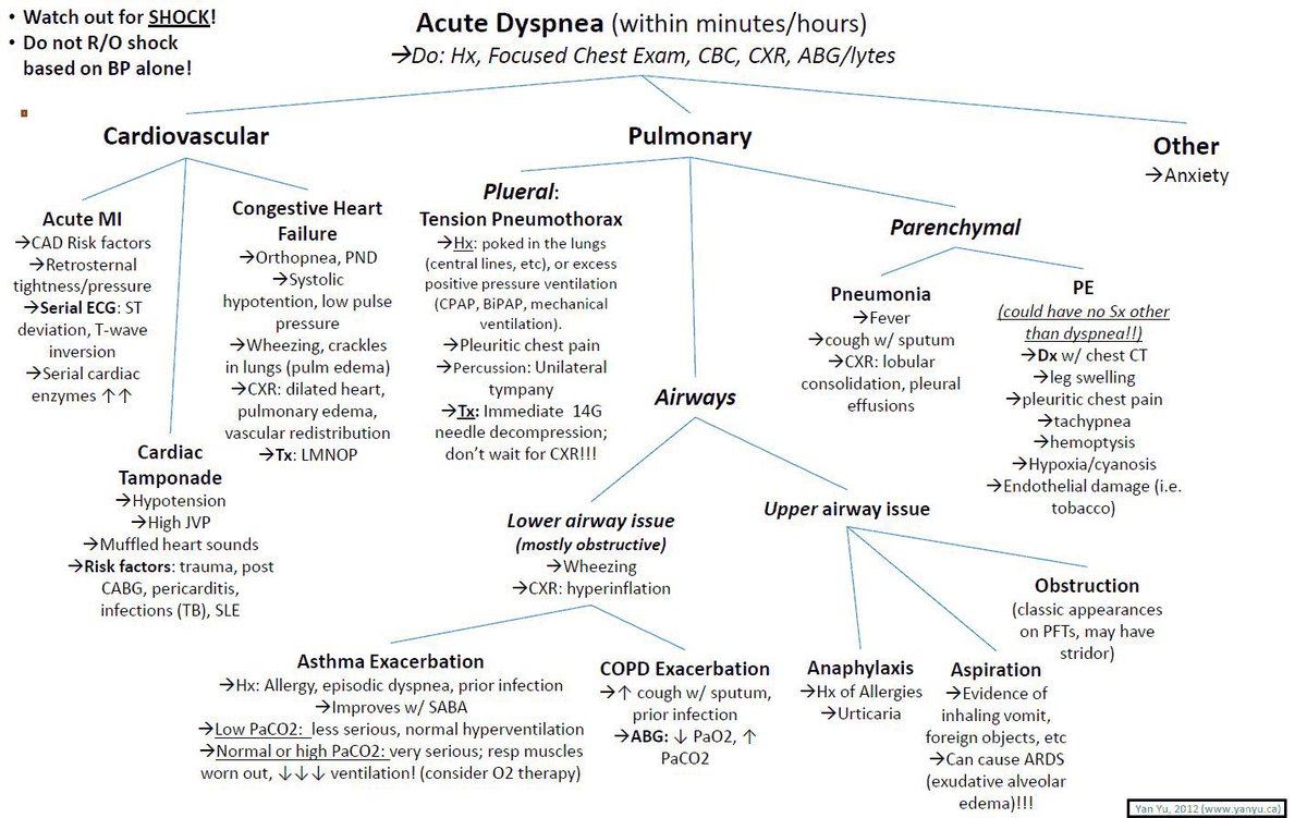 Medical_MD1's tweet photo. Great Recap 🤩

Differential Diagnosis &amp; How to approach Dyspnoea 😮‍💨

. https://t.co/b9mfARFMGX