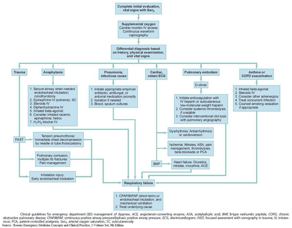 Medical_MD1's tweet photo. Great Recap 🤩

Differential Diagnosis &amp; How to approach Dyspnoea 😮‍💨

. https://t.co/b9mfARFMGX