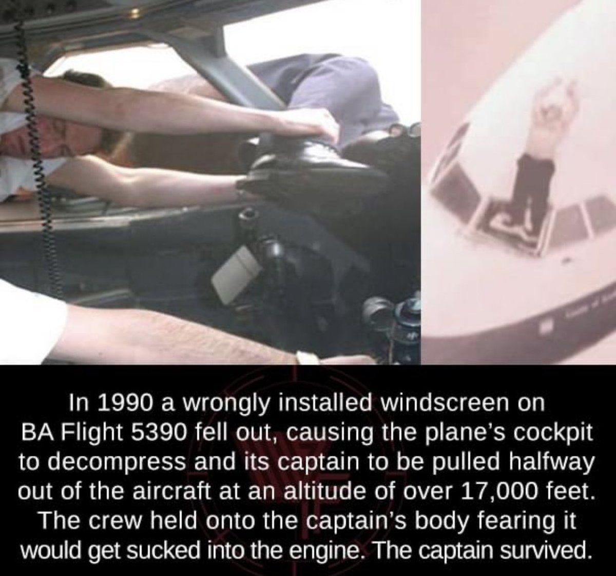 Dudes Posting Their W’s (@dudespostingws) on Twitter photo 