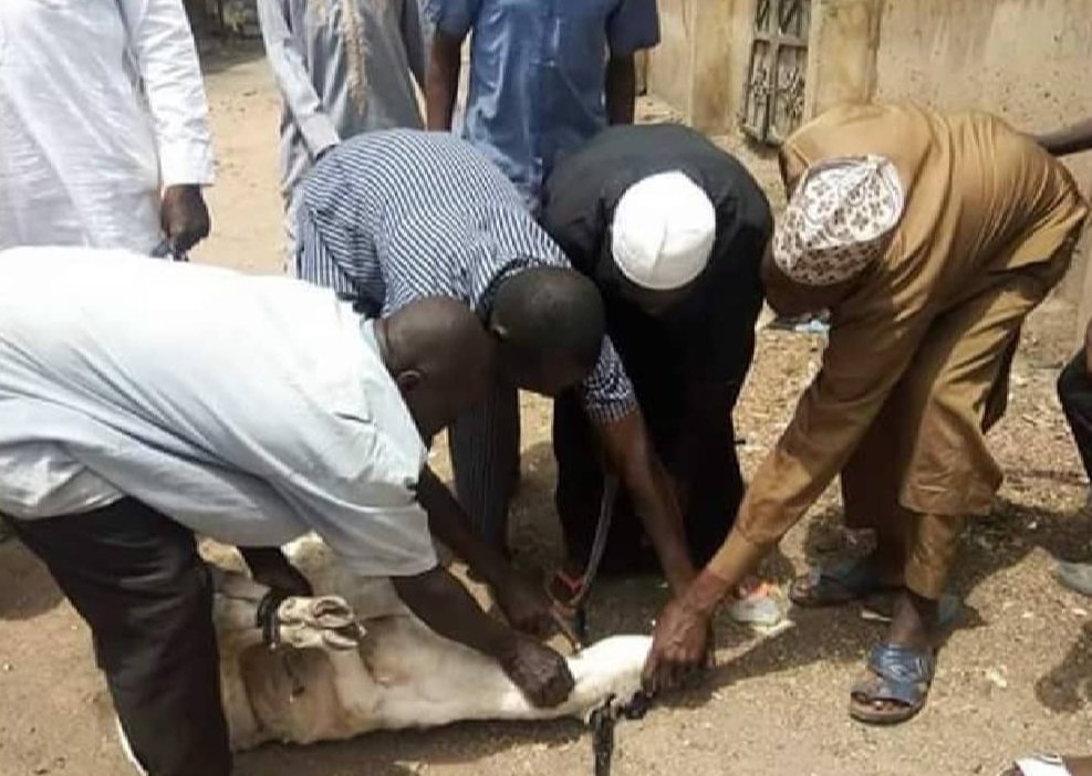 Argentina: Messi is our Goat.

Saudi Arabia :👇
#FIFAWorldCup #Qatar2022