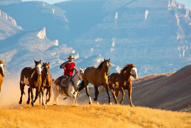 The Hideout is an upscale riding, horsemanship and working cattle ranch located in Shell, Wyoming - East of Yellowstone National Park.
ranchseeker.com/Search/TheHide…
