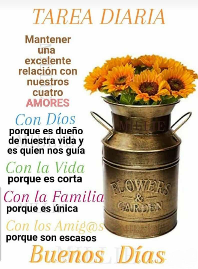 begemora1's tweet photo. Feliz martes para todos 🌻♥️♥️ https://t.co/DODMM0AHxT