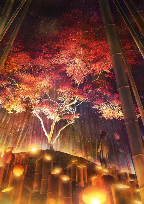 「bamboo forest night」 illustration images(Latest)
