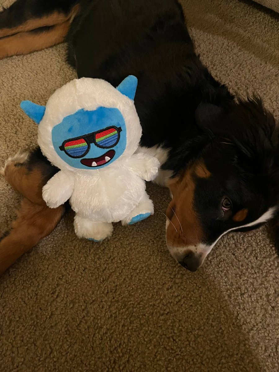 MPOP_BSC's tweet photo. Another redeemed plushie is out in the world and has made a new friend ๐ถโฅ๏ธ
#bscgem #redeemabletoken #bnbchain #bnb #monsta #monstatoken #animalsoftwitter #wildanimals #beastofbsc https://t.co/bcwMQ0uvyE